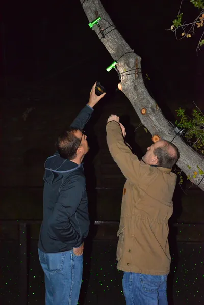 DSC_7093 (Large).JPG